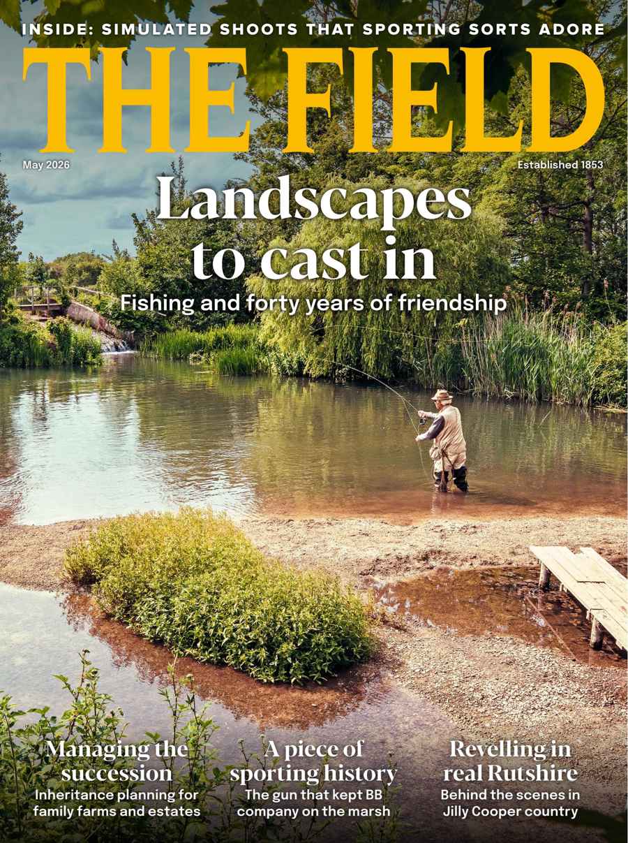 The Field issue May 2026