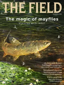 May-22 
                issue May-22