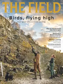 Nov-2020 
                issue Nov-2020