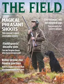 November 2015 
                issue November 2015