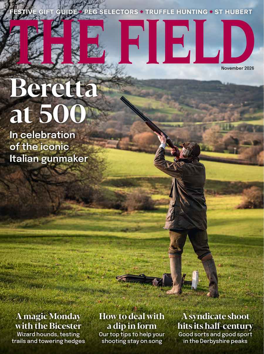 The Field issue November 2026
