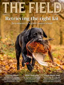 The Field issue October 2026