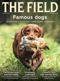 The Field 
                issue FREE Sample Issue