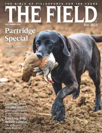September 2019 
                issue September 2019