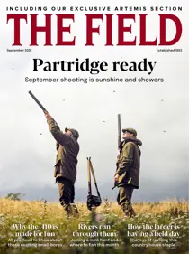 The Field issue September 2026