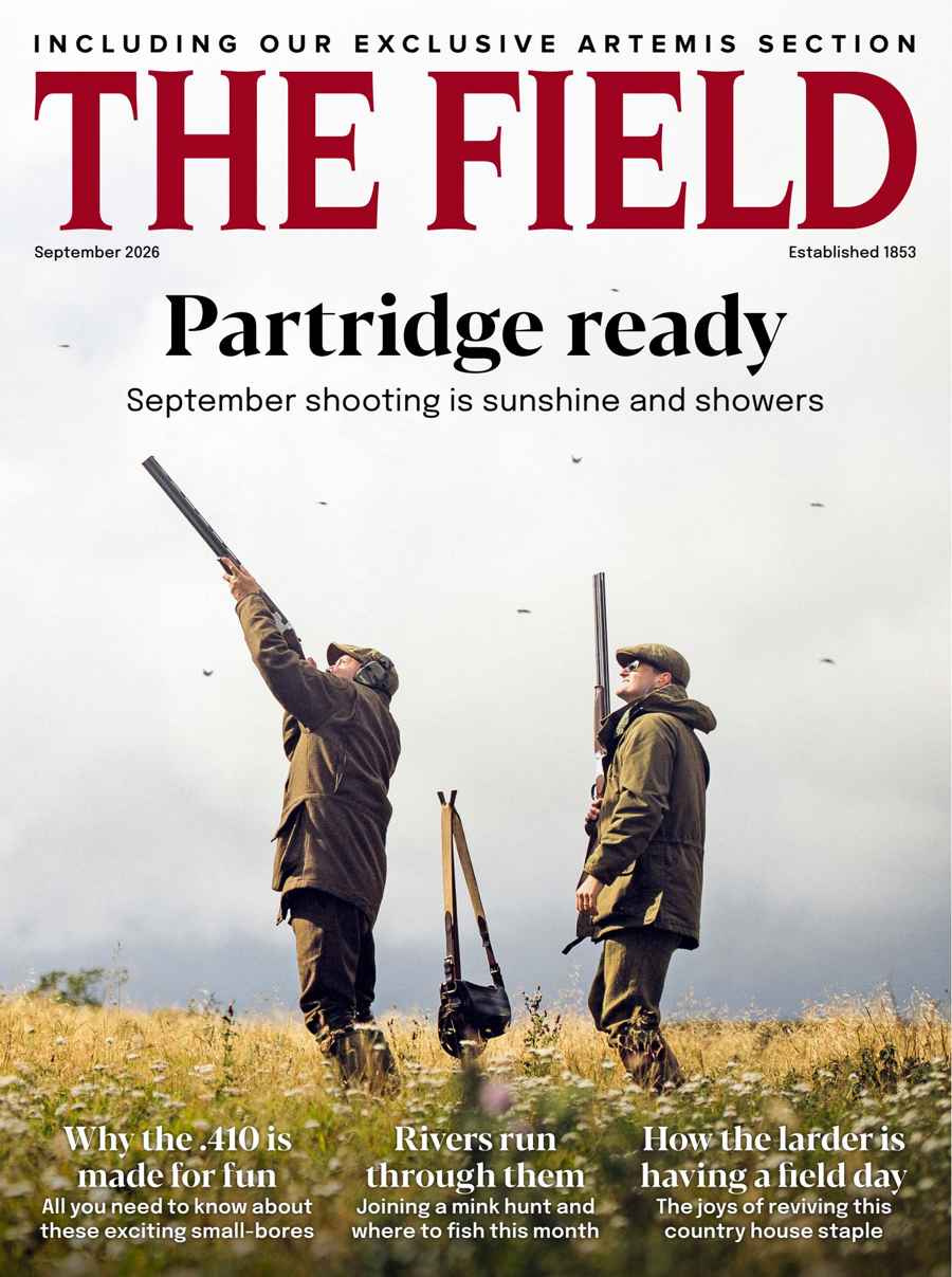 The Field issue September 2026
