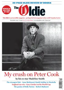 December 2022 
                issue December 2022