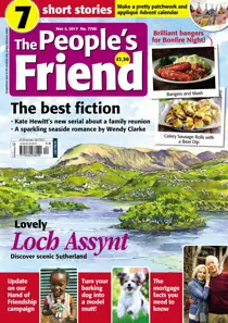 04/11/2017 
                issue 04/11/2017