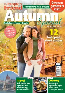 No.96 
                issue No.96