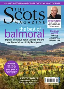 November 2022 
                issue November 2022