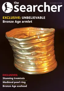 February 2021 
                issue February 2021