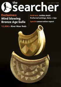 January 2019 
                issue January 2019