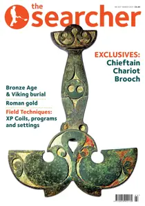 March 2021 
                issue March 2021