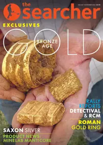 November 2022 
                issue November 2022