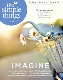 June 2017 
                issue June 2017