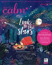 Project Calm Look To The Stars 
                issue Project Calm Look To The Stars