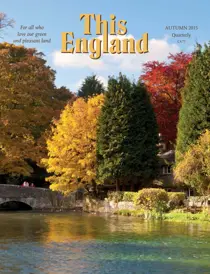 Autumn 2015 
                issue Autumn 2015