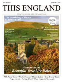 Autumn 2020 
                issue Autumn 2020