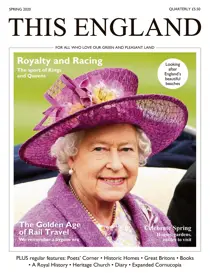 Spring 2020 
                issue Spring 2020