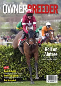 April 2019 - issue 176 
                issue April 2019 - issue 176