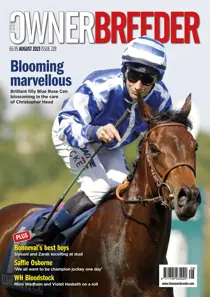 August 2023 
                issue August 2023