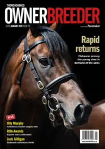 January 2019 - Issue 173 
                issue January 2019 - Issue 173