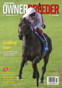 November 2018 - Issue 171 
                issue November 2018 - Issue 171