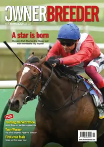 November 2021 
                issue November 2021