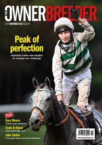 November 2022 
                issue November 2022