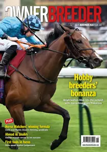 November 2024 
                issue November 2024