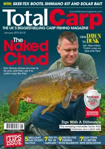 January 2013 
                issue January 2013