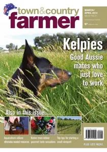 Town & Country Farmer - MarchApril 2014 
                issue Town & Country Farmer - MarchApril 2014