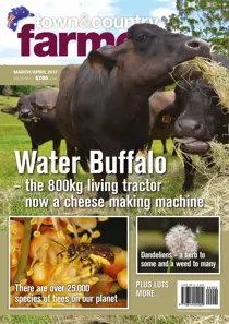 Town & Country Farmer March/April 2017 
                issue Town & Country Farmer March/April 2017