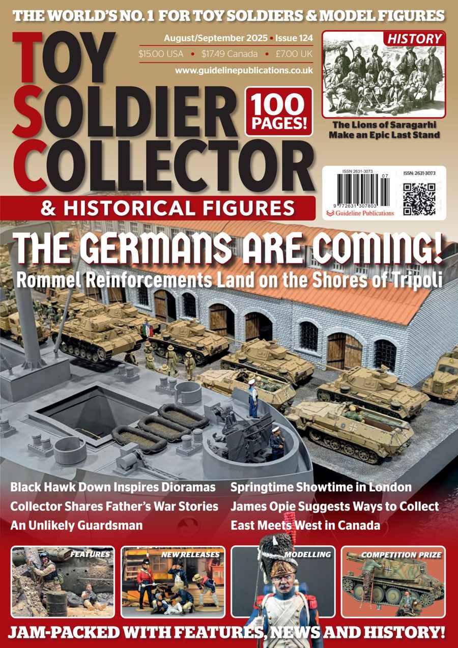 TOY SOLDIER COLLECTOR 