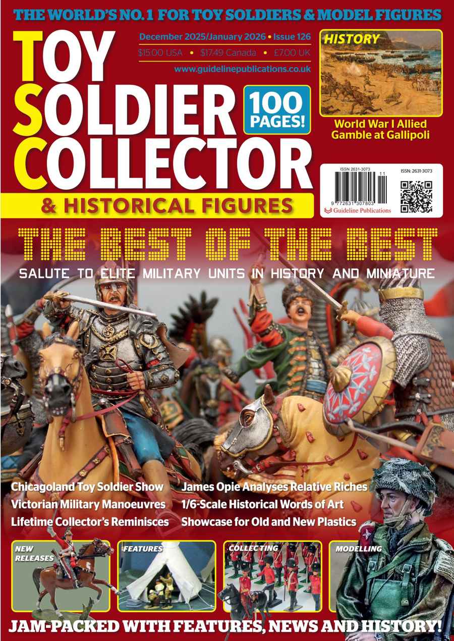 TOY SOLDIER COLLECTOR 