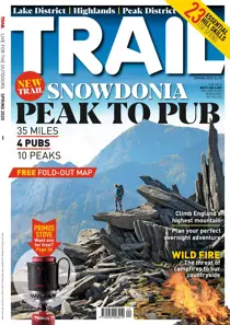 Spring 2020 
                issue Spring 2020