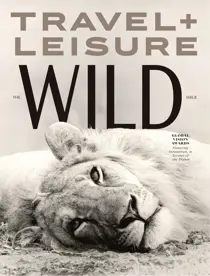 Travel + Leisure 
                issue April 2026