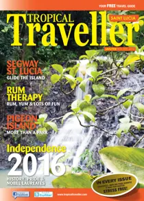 Issue 285 
                issue Issue 285