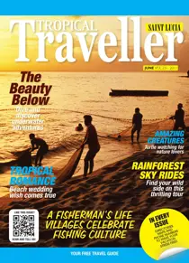 June 2011 
                issue June 2011