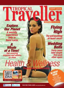 November 2011 
                issue November 2011
