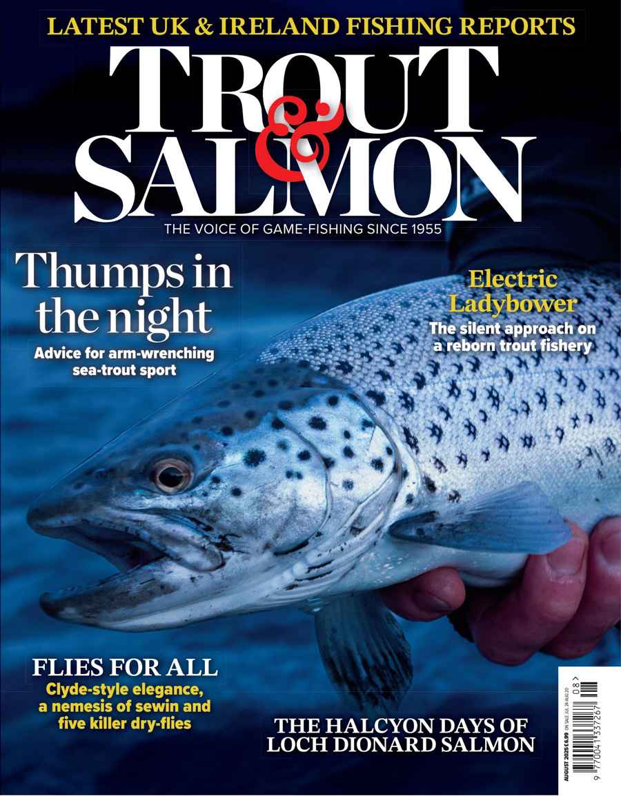 TROUT SALMON