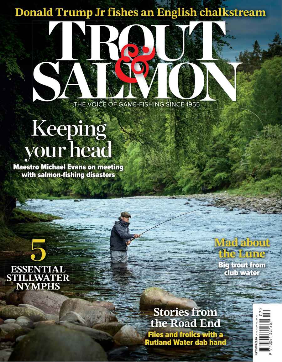 TROUT SALMON