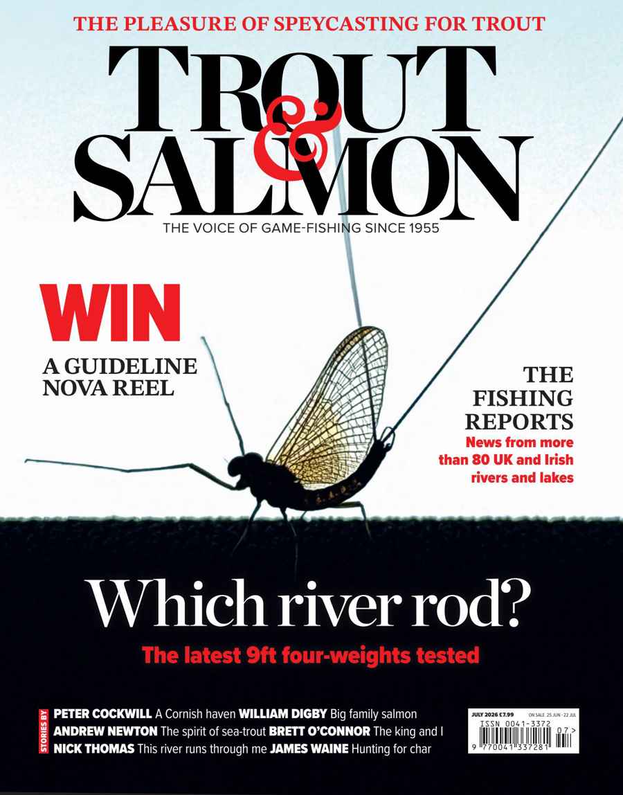 TROUT SALMON