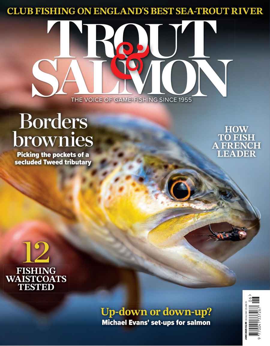 TROUT SALMON