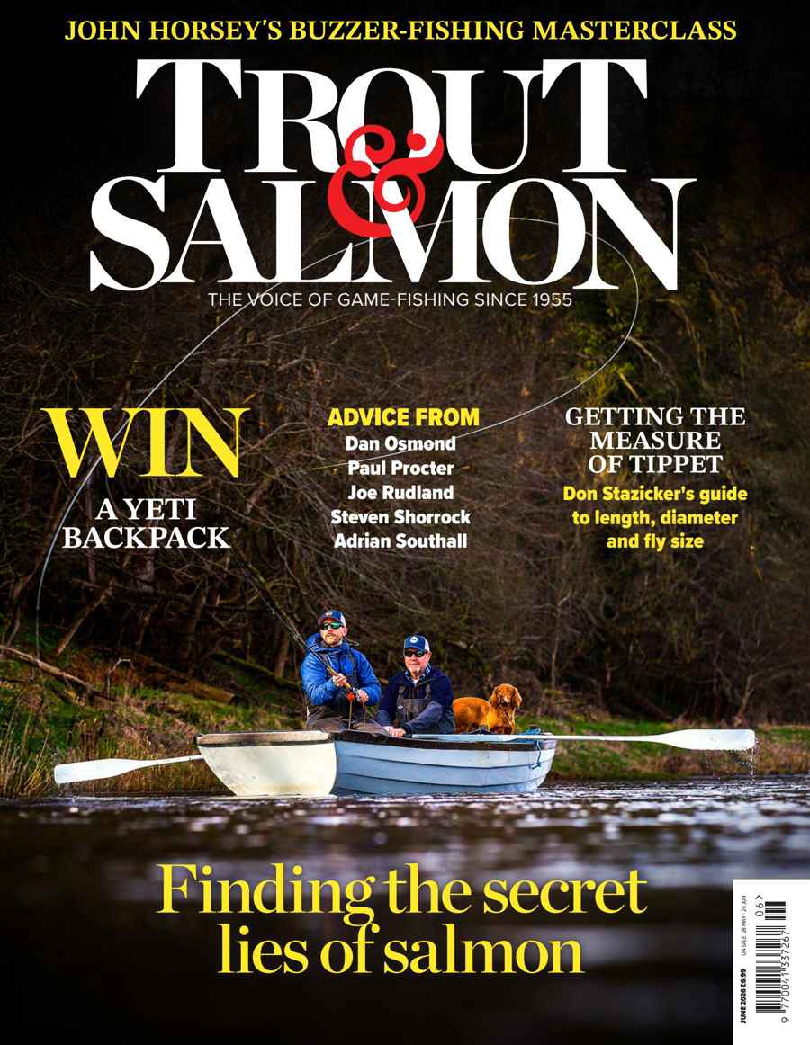 TROUT SALMON