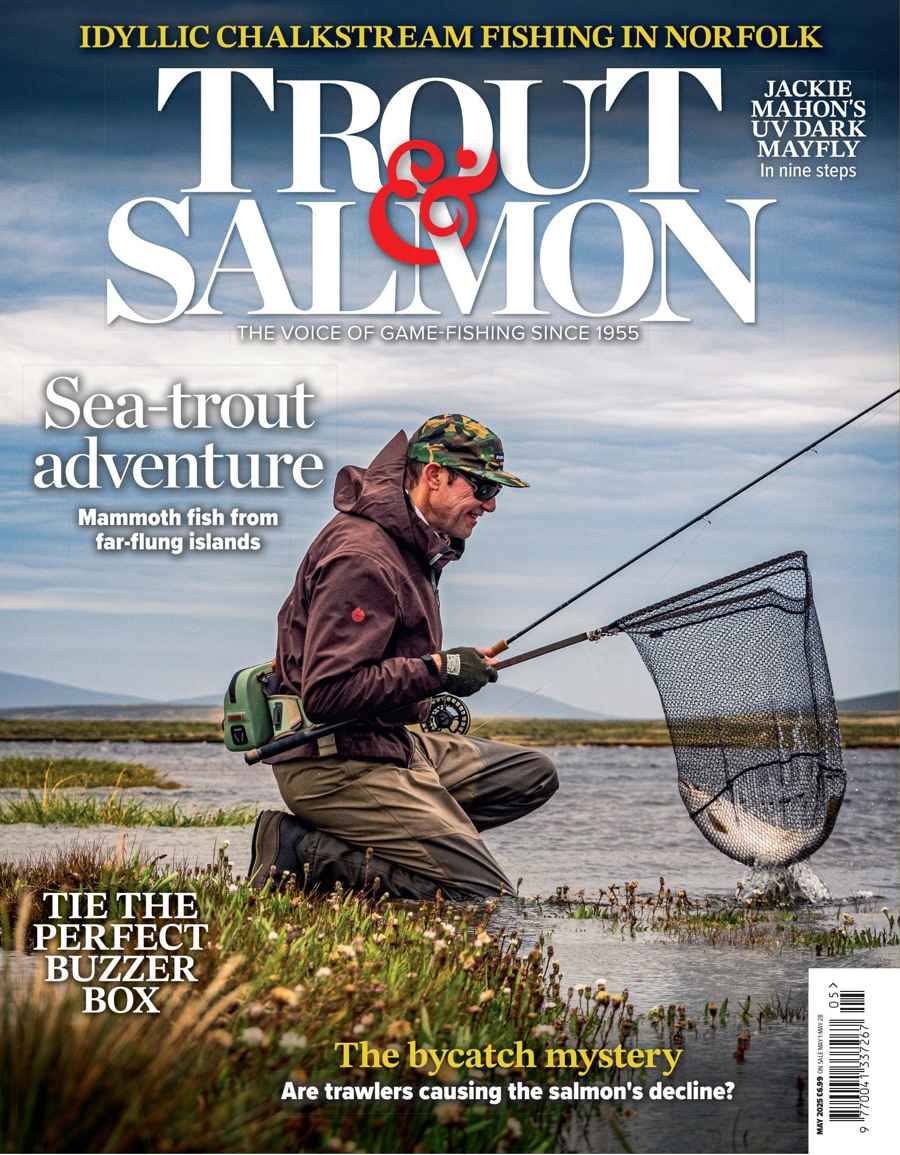 TROUT SALMON
