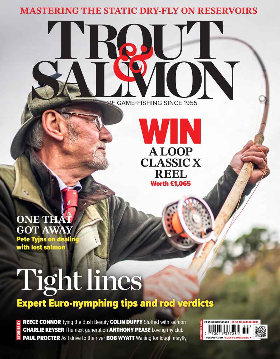 TROUT SALMON