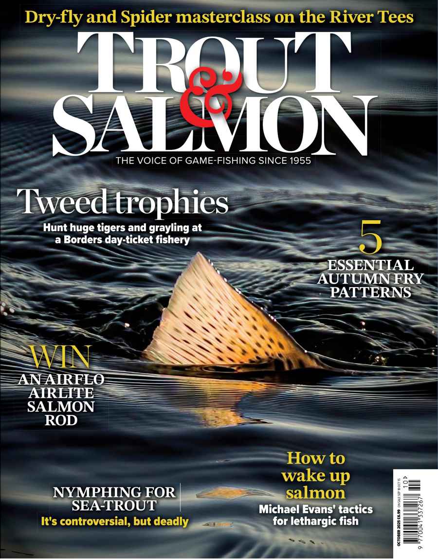 TROUT SALMON