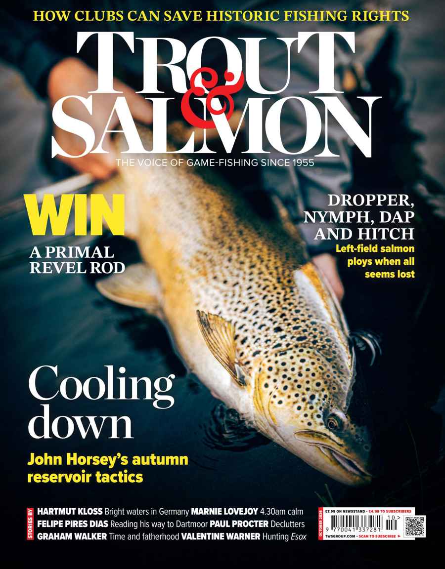 TROUT SALMON