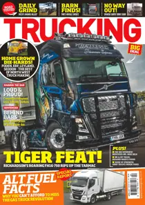 No. 401 Tiger Feat!  
                issue No. 401 Tiger Feat! 